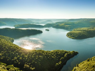 Wald, Wasser, Wildnis im Nationalpark Eifel