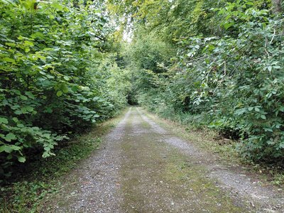 Unterhaltsstrasse in der Sicherheitszone