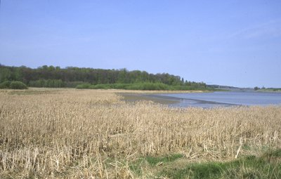 Talsperre Schömbach