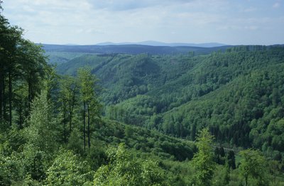 Brockenblick über Brandesbachtal