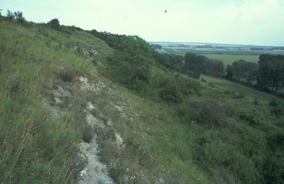 Brembacher Weinberge, Hang nordöstliche von Kleinbrembach