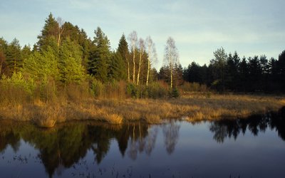 Teich am Blankenholz