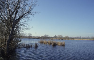 Grubengewässer
