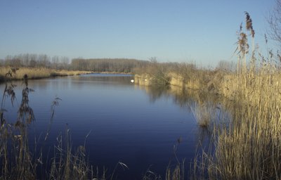 Grubengewässer