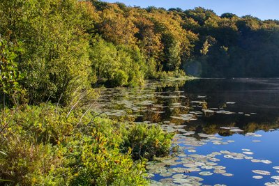 Rügen, Schwarzer See im Naturschutzgebiet Granitz