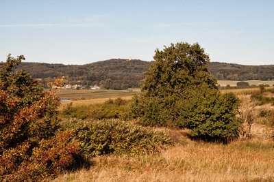 Rügen, Naturschutzgebiet, FFH-Gebiet, Landschaftsschutzgebiet, EU-Vogelschutzgebiet, Biosphärenreservat