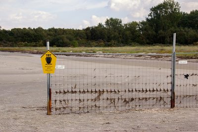 Tarnewitzer Huk, Naturschutzgebiet, FFH-Gebiet Wismarbucht, Vogelschutzgebiet, Boltenhagen