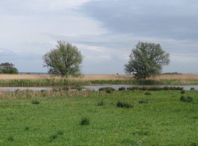 Naturschutzgebiet Der Spieß – An der Spießbrücke