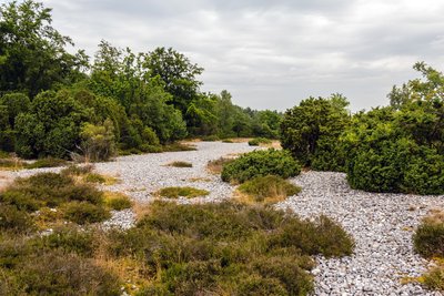 Naturschutzgebiet Steinfelder in der Schmalen Heide