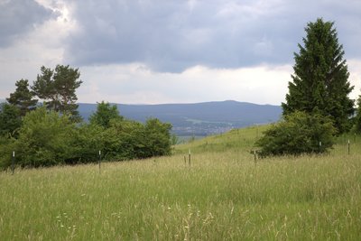 Alte Warth, Blick zum Pleß