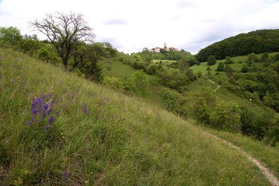 Blick zur Leuchtenburg