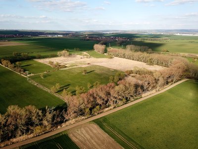Apfelstädter Ried