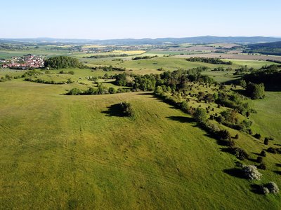 Wacholderheide bei Waldfisch