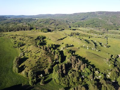 Wacholderheide bei Waldfisch
