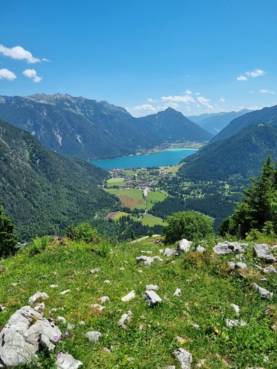 Feilkopf
