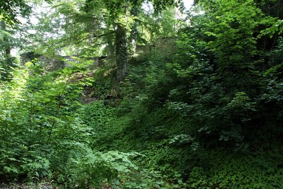 Greifenstein Burggraben