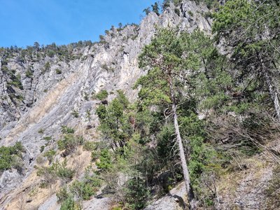 Landschaft im Naturschutzgebiet Fragenstein