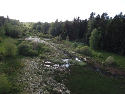 Sümpfe und Wälder bei Bad Klosterlausnitz