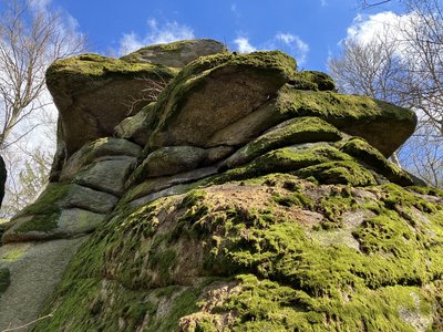 NSG Schlosspark Falkenstein
