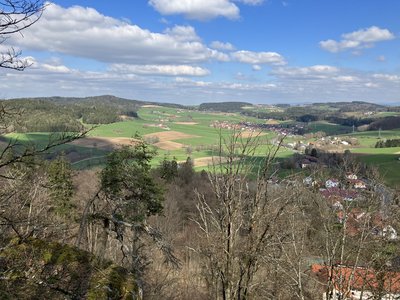 NSG Schlosspark Falkenstein
