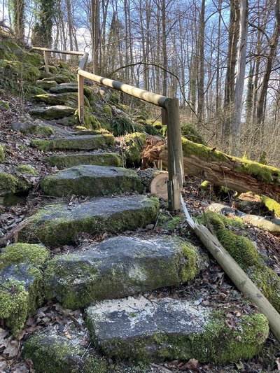 NSG Schlosspark Falkenstein