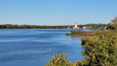 Blick vom Beobachtungsturm am Echinger Stausee