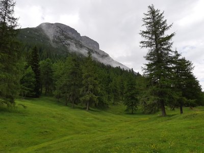 Martinsbergalm