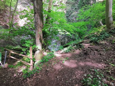 Natureingang Heimkehle