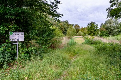 Das Naturschutzgebiet „Jockgrimer Tongruben“.