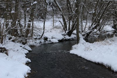 Der verschneite Ahbach im Naturschutzgebiet „Ahbachtal“ (NSG 7233-043) im Januar 2017