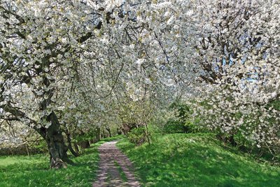 Naturschutzgebiet Halbinsel Devin