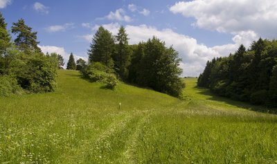 Seidenbachtal (?), am Froschberg, Naturschutzgebiet EU-015 „Nonnenbachtal und Seitentäler mit Froschberg und Gillenberg“ im Kreis Euskirchen, NRW