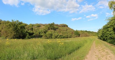 NSG Aulheimer Tälchen zwischen Erbes-Büdesheim und Flonheim. Liste der Naturschutzgebiete im Landkreis Alzey-Worms. Kennung: 7331-158