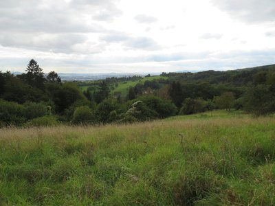 Aussicht über die Streuobstwiesen