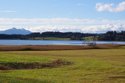 Naturschutzgebiet Bannwaldsee