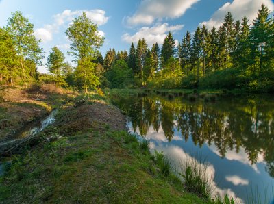 Naturschutzgebiet „Biggequellgebiet“ in Rheinland-Pfalz
