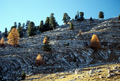 Rock landscape