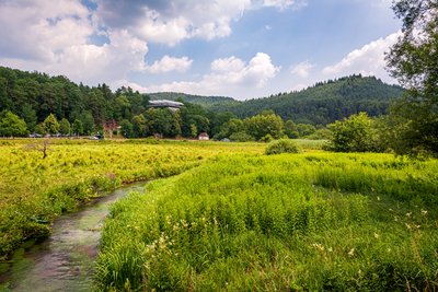 Blick über den Saarbach in Richtung Biosphärenhaus Pfälzerwald-Nordvogesen in Fischbach bei Dahn
Biosphärenreservat Pfälzerwald- Nordvogesen