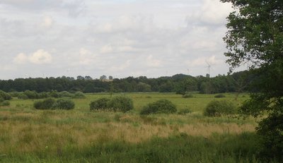 Blick vom Bahnhof Pölschow in Uferflächen der Warnow (Bestandteil des Naturschutzgebiet Unteres Warnowland).