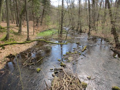 Blick von der Schaalebrücke am Ortsausgang Kogel Richtung Holzkrug, Naturschutzgebiet „Schaalelauf“