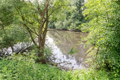 Naturschutzgebiet Talsystem des Königsbaches in Blomberg-Borkhausen, Kreis Lippe