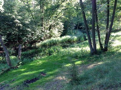 Nature reserve Alte Elde bei Kuppentin near Bobzin, district Ludwigslust-Parchim, Mecklenburg-Vorpommern, Germany