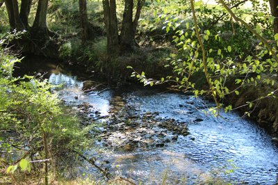 Naturschutzgebiet Wiedaue bei Borod, Borod, Westerwald, Rheinland-Pfalz