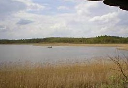 Blick auf den Breeser See bei Lohmen in Mecklenburg-Vorpommern von der Beobachtungskanzel.