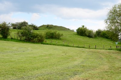 Nature reserve Weberstein (8) Key number: HSK-542, Brilon, North Rhine-Westphalia, Germany.