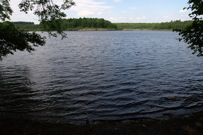 View from South over lake Brinkenweiher (Steinen municipality) in Westerwald, Rhineland-Palatinate, Germany