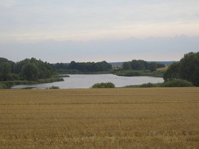 Brooksee, südlich Brookhusen (Mecklenburg-Vorpommern, Deutschland).