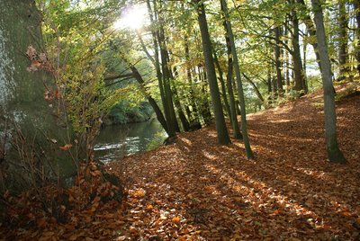 River Hunte in autumn