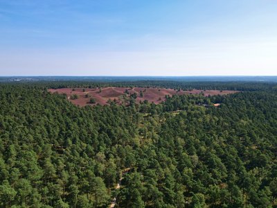 Brunsberg surrounded by the Lohberge