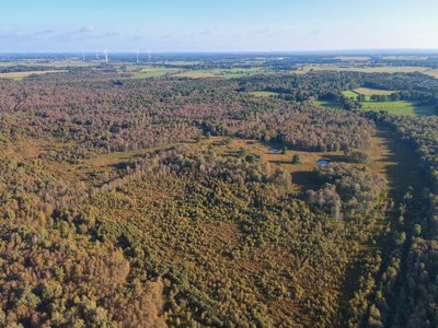 Naturschutzgebiet "Großes Everstorfer Moor"